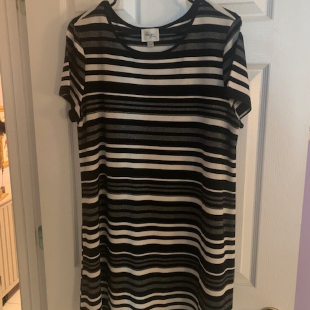 Women's Dress/Shirt